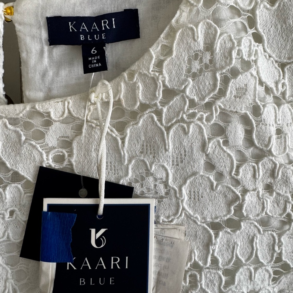Kaari Blue White Lace Dress